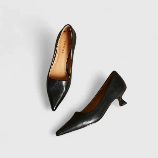 Isoarde Pointed Toe Block Heel Pumps
