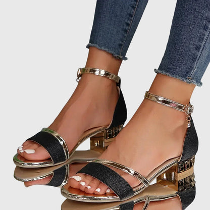 Dieudonnee Ankle Strap Block Heel Sandals
