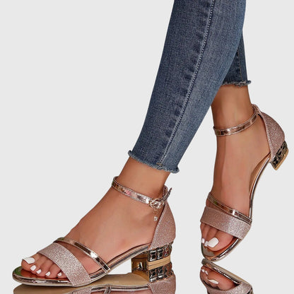 Dieudonnee Ankle Strap Block Heel Sandals