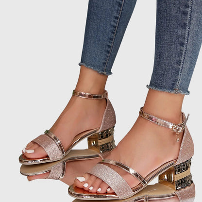 Dieudonnee Ankle Strap Block Heel Sandals