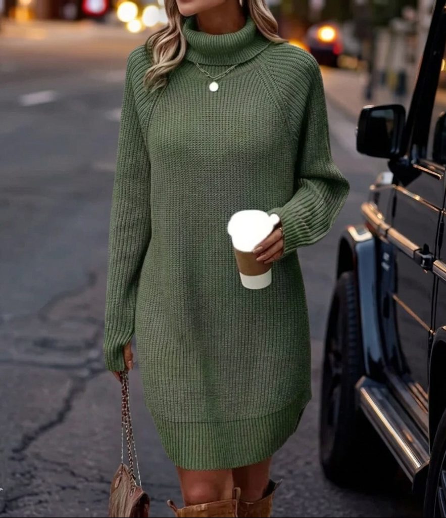 Avelina Ribbed Knit Sweater Dress with Roll Neck