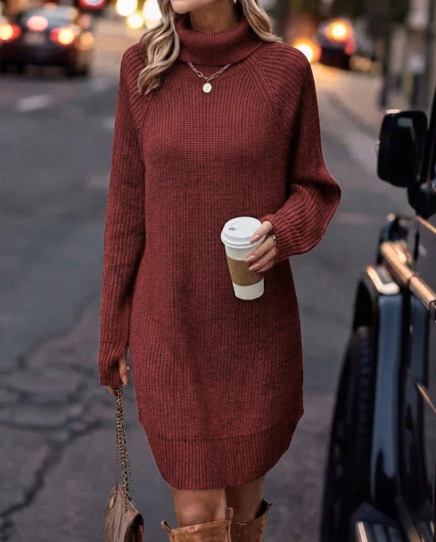 Avelina Ribbed Knit Sweater Dress with Roll Neck