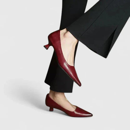 Isoarde Pointed Toe Block Heel Pumps