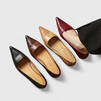 Isoarde Pointed Toe Block Heel Pumps