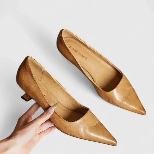 Isoarde Pointed Toe Block Heel Pumps