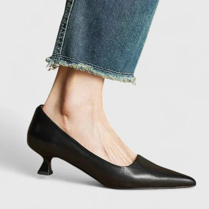 Isoarde Pointed Toe Block Heel Pumps