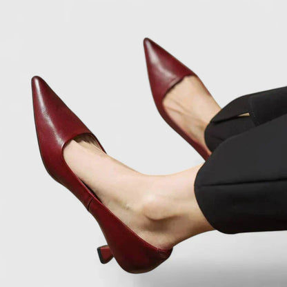 Isoarde Pointed Toe Block Heel Pumps