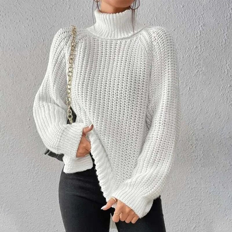 Egelina Ribbed Knit Roll Neck Jumper